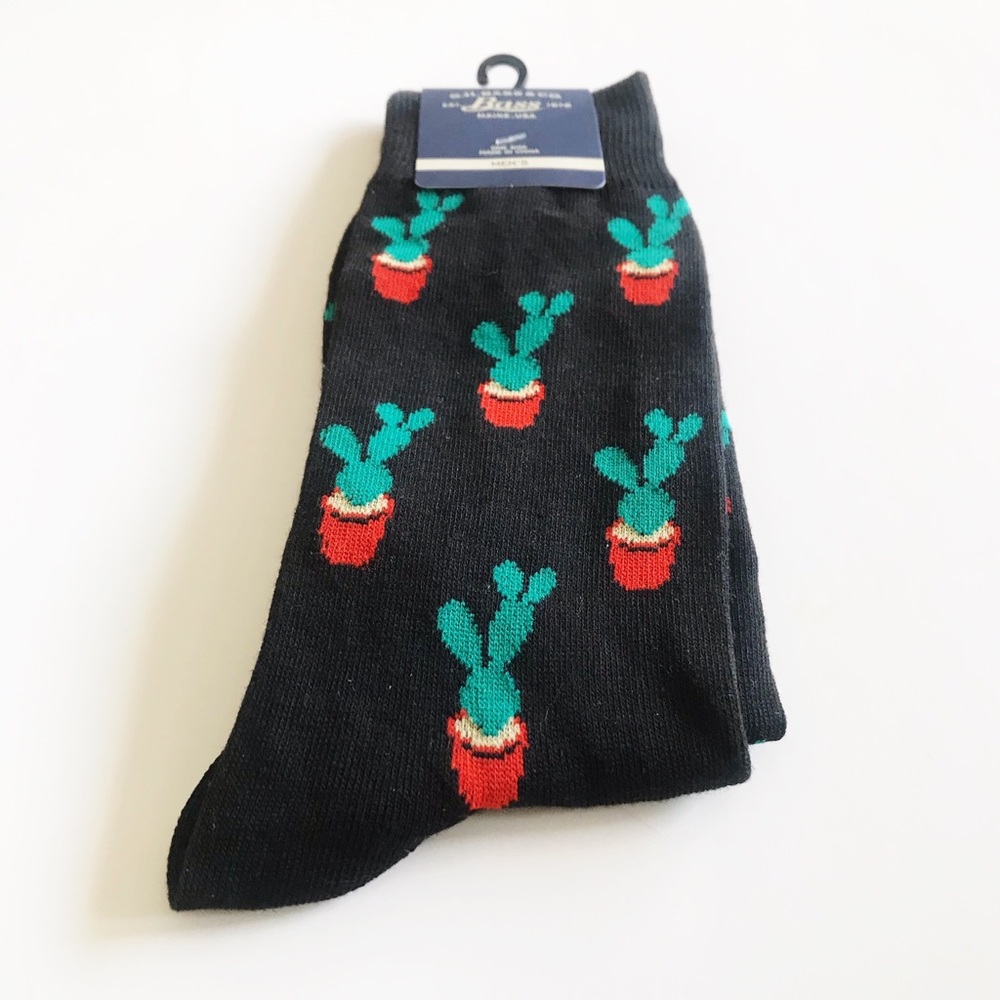 Novelty fun socks - cactus plant
